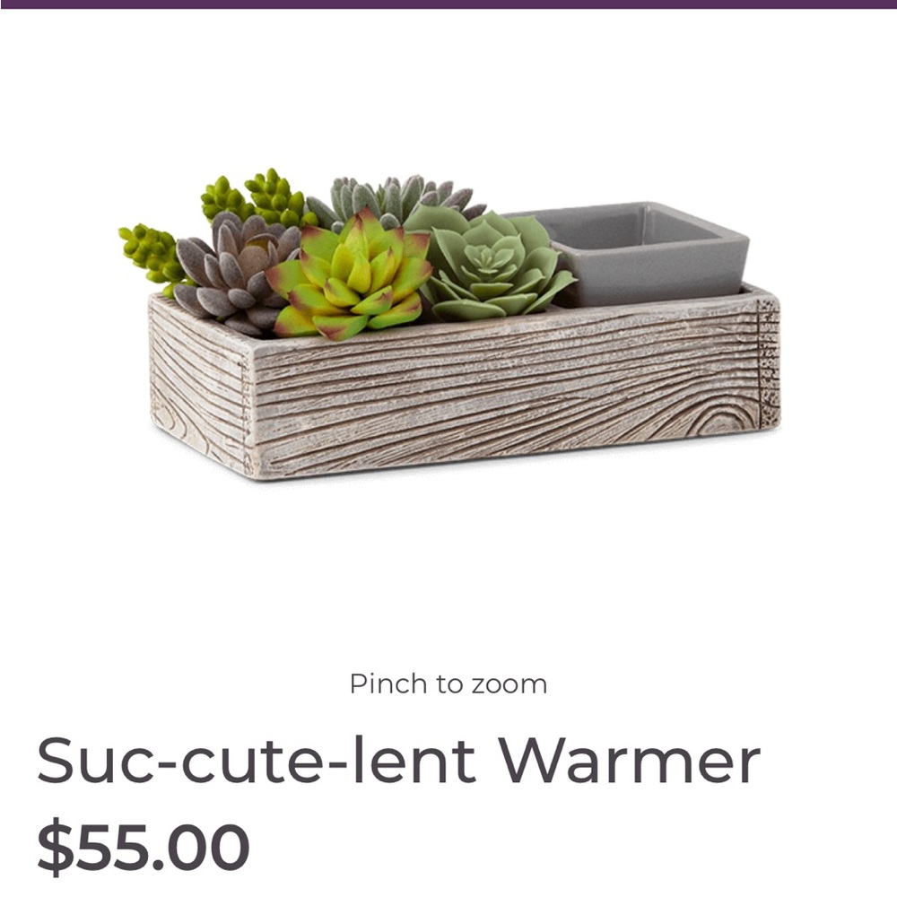 Suc-cute-lent Scentsy Warmer